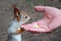 Feeding a squirrel in the park