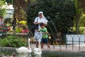 Feeding the swans