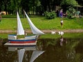 Feeding of swans in park of Guryevsk, Russia Royalty Free Stock Photo