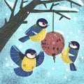 Feeding titmouses in winter, birds eating seeds on the tree, illustration with texture.