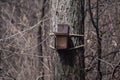 Feeding trough feeder, manger for birds and animals on a tree in the forest