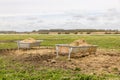 Feeding troughs in a field