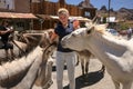 Feeding Wild Burros