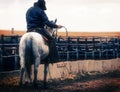 Feedlot Cowboy On Horse with Rope