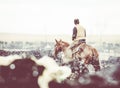 Feedlot Cowboy on Horseback at Work in the Snow