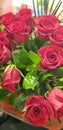 Bouquet of beautiful red roses Royalty Free Stock Photo