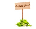 Feeling Good word Royalty Free Stock Photo