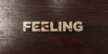 Feeling - grungy wooden headline on Maple - 3D rendered royalty free stock image