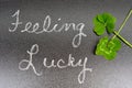 Feeling lucky concept sign, 5 five leaf and 4 leaf clover