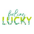 Feeling lucky Saint Patricks day clipart with half leopard green letters greeting card.