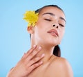 Feeling pretty. Studio shot of an attractive young woman posing with a flower behind her ear against a blue background. Royalty Free Stock Photo