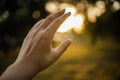 Feeling The Sun. Female Hand Trying To Touch Evening Sun Royalty Free Stock Photo