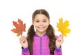 Feelings of comfort and nostalgia we experience in autumn are hard to express. Kid girl hold fallen maple leaves. Happy Royalty Free Stock Photo