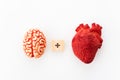 Feelings and mind concept. Brain plus heart on white background. Top view.