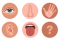 5 feelings sensory organs in rounds. feels sense- eyes vision, nose smell, tongue taste buds, skin touch, hearing ears