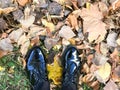 Feet in beautiful black leather smooth glossy shoes on yellow and red, brown colored natural autumn leaves