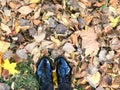 Feet in beautiful black leather smooth glossy shoes on yellow and red, brown colored natural autumn leaves