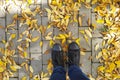 Feet in black moccasins stand on leaves. View from above