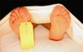 Feet of a body in a morgue Royalty Free Stock Photo