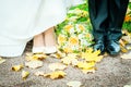 The feet of the bride and groom in autumn park Royalty Free Stock Photo