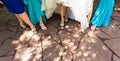 Feet of a bride and her bridesmaids