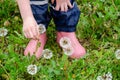 Feet of a child in pink wellies among dandelions. Royalty Free Stock Photo