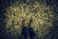 Feet in fallen leaves Royalty Free Stock Photo