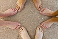 Feet of family at the beach