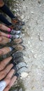 Feet of a family that rests after a walk in the mountains Royalty Free Stock Photo