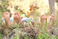 Feet of father, mother and child in the grass. Royalty Free Stock Photo