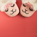 Feet female wearing cute sleeping pink lama trendy slippers soft pastel pink and coral colours on empty backgroundTop