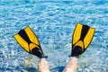 Feet in flippers fins on sea shore