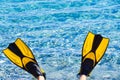 Feet in flippers fins on sea shore