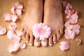 Feet, flower and spa pedicure with nails beauty of woman in studio for floral luxury skincare. Toes of wellness and Royalty Free Stock Photo