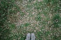 Feet of a girl in gray sneakers against the background of grass and fallen petals of the apple tree. View from above Royalty Free Stock Photo