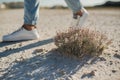 The feet of a girl in white sneakers are walking in a desert area Royalty Free Stock Photo
