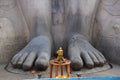 Feet of Gommattesvara Bahubali close up. Royalty Free Stock Photo