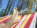 Feet in the hammock on a background of pine forest