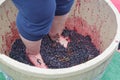 Feet and hands stomping grapes