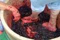 Feet and hands stomping grapes