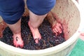 Feet and hands stomping grapes