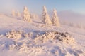 At 10,492 feet high, Mt Jefferson is Oregon`s second tallest mountain. Mount Jefferson Wilderness Area, Oregon The first snow Royalty Free Stock Photo