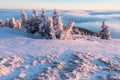 At 10,492 feet high, Mt Jefferson is Oregon`s second tallest mountain. Mount Jefferson Wilderness Area, Oregon The first snow Royalty Free Stock Photo