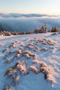 At 10,492 feet high, Mt Jefferson is Oregon`s second tallest mountain. Mount Jefferson Wilderness Area, Oregon The first snow Royalty Free Stock Photo