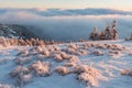 At 10,492 feet high, Mt Jefferson is Oregon`s second tallest mountain. Mount Jefferson Wilderness Area, Oregon The first snow Royalty Free Stock Photo