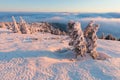 At 10,492 feet high, Mt Jefferson is Oregon`s second tallest mountain. Mount Jefferson Wilderness Area, Oregon The first snow Royalty Free Stock Photo