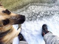 Feet of Hunter or fisherman in big warm boots And paws of dog on snow. Top view. Fisherman on ice of river, lake