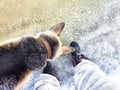 Feet of Hunter or fisherman in big warm boots And paws of dog on snow. Top view. Fisherman on ice of river, lake