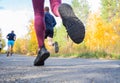 Feet of a jogger. Woman runs in the forest. Close-up of sneakers.