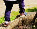 Feet of a little boy who climbs on the big tree stump Royalty Free Stock Photo